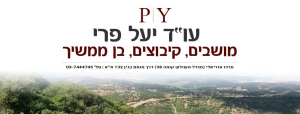 עו"ד יעל פרי