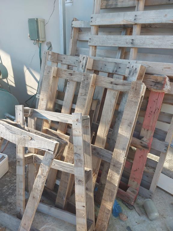 עץ המשאלות עץ המשאלות