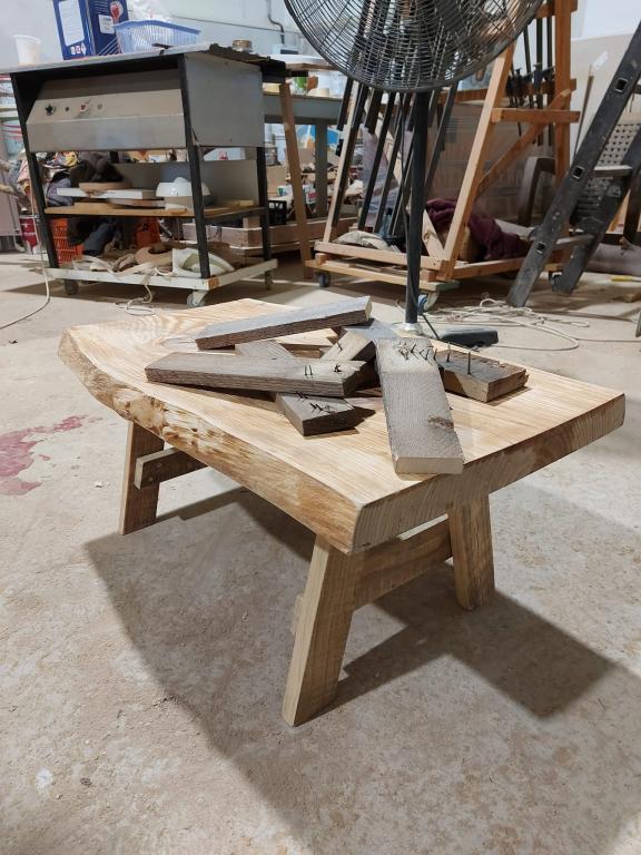 עץ המשאלות עץ המשאלות