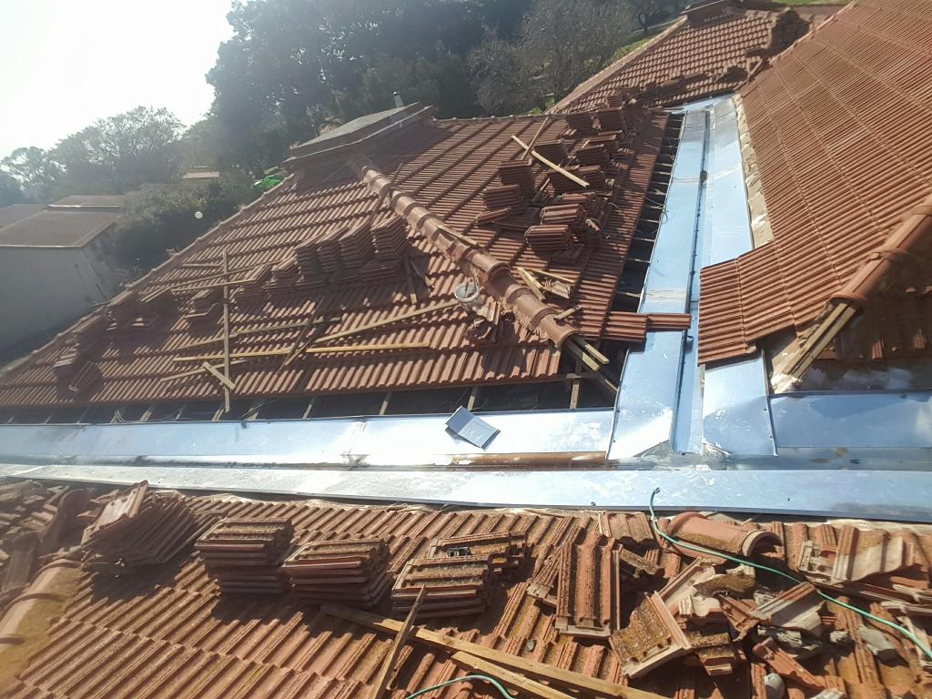 ג.ג. גגות ג.ג. גגות