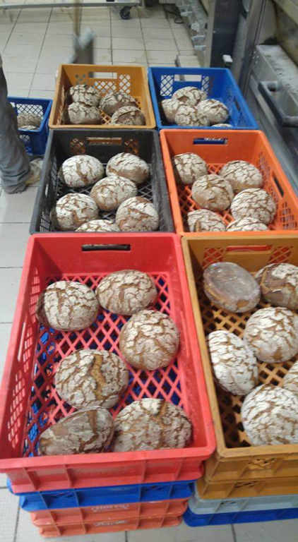 מאפיית גיל מאפיית גיל