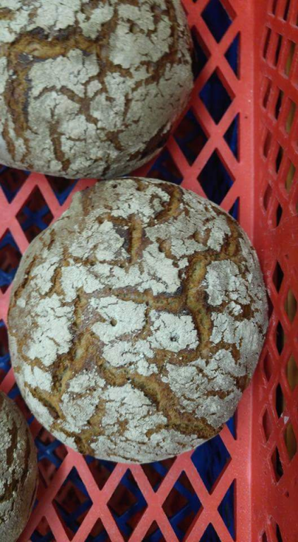 מאפיית גיל מאפיית גיל