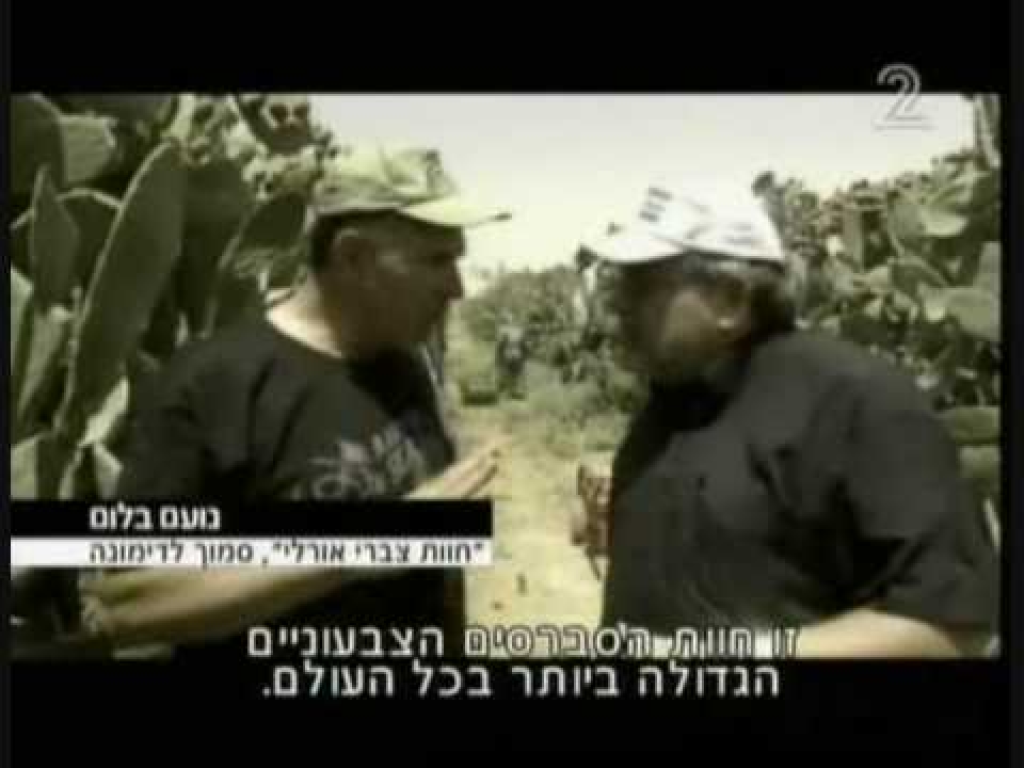 חוות צברי אורלי חוות צברי אורלי