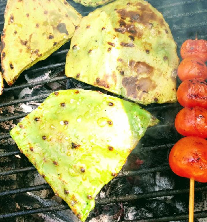 חוות צברי אורלי חוות צברי אורלי