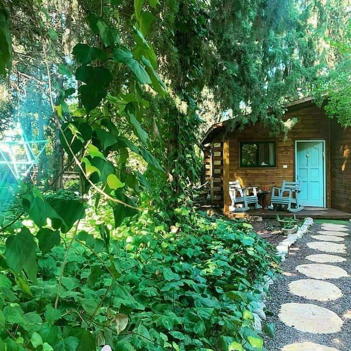 עלי גליל עלי גליל