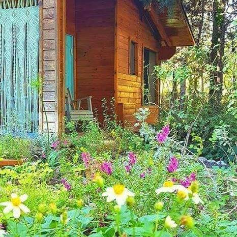 עלי גליל עלי גליל