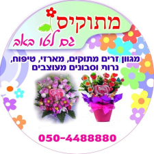 מתוקיס