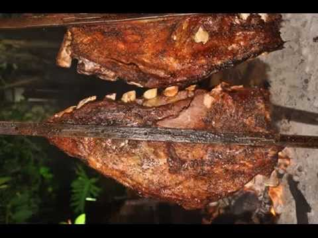 אסאדו דורון אסאדו דורון