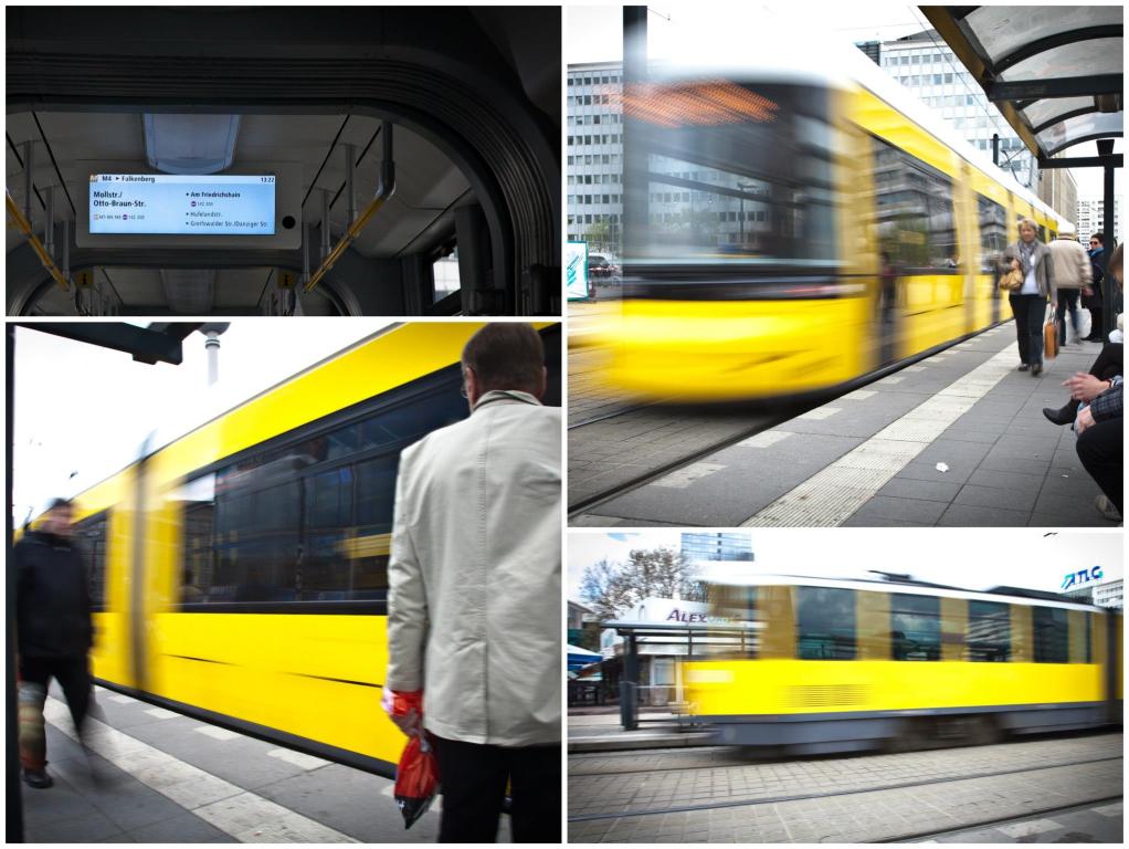 משה סמואל צלם משה סמואל צלם