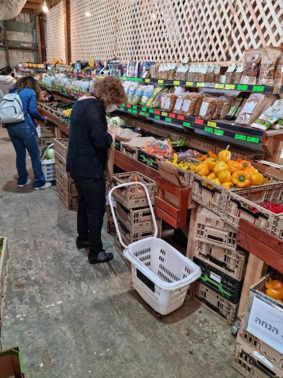 הגינה האורגנית הגינה האורגנית