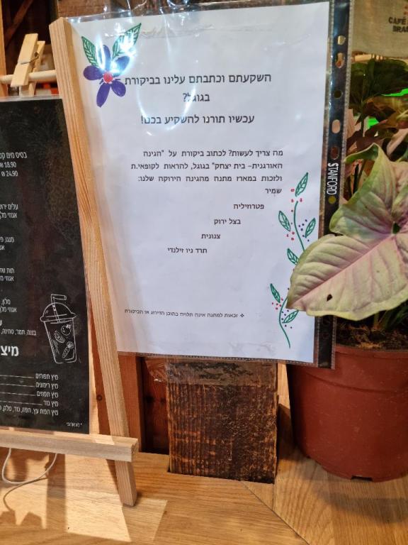 הגינה האורגנית הגינה האורגנית