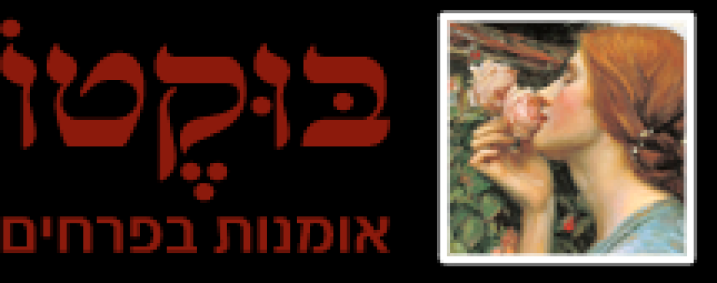 בוקטו בוקטו