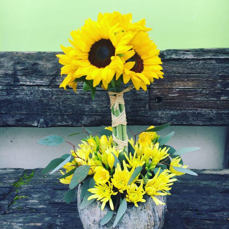 בוקטו בוקטו