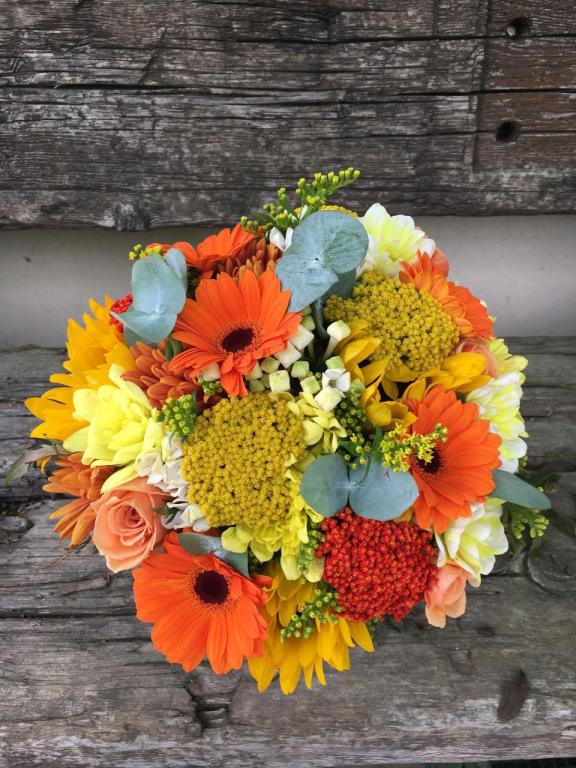 בוקטו בוקטו