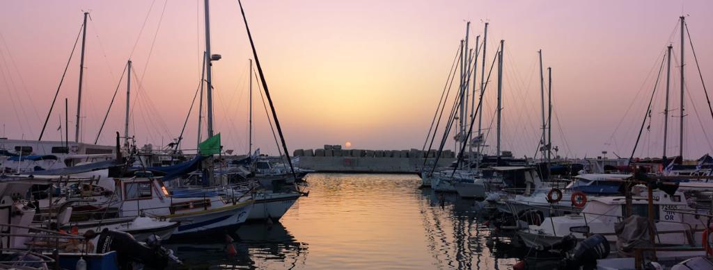 רותם פורטס תחיה רותם פורטס תחיה