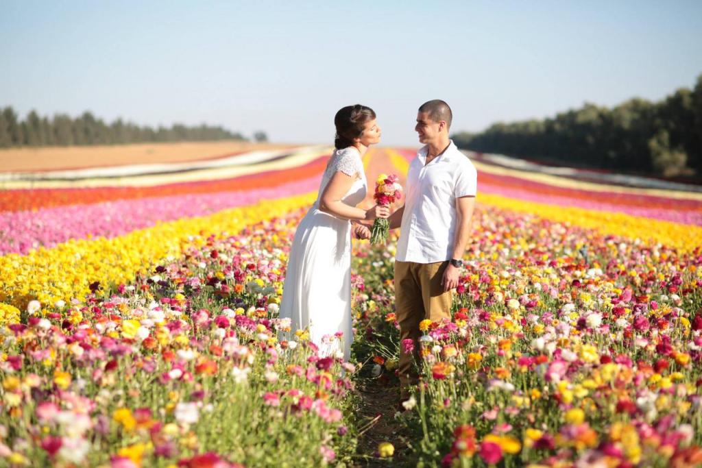 רגעים מנצחים רגעים מנצחים