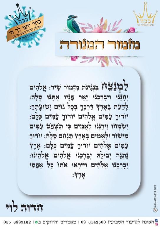 פינוקי האוכל של כרמל פינוקי האוכל של כרמל