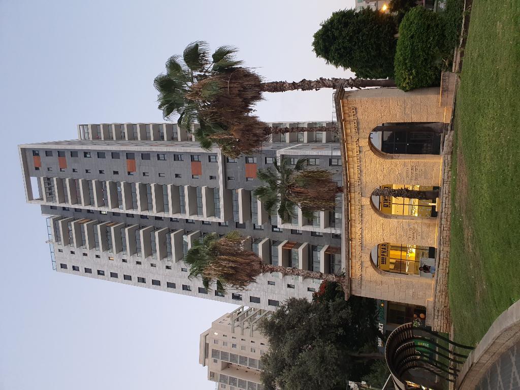 עו"ד שמעון טל שחורי עו"ד שמעון טל שחורי