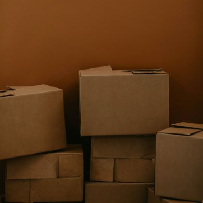 פרין גילה פרין גילה