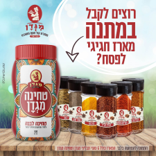 קליית קפה מגדן