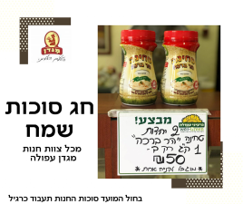 קליית קפה מגדן