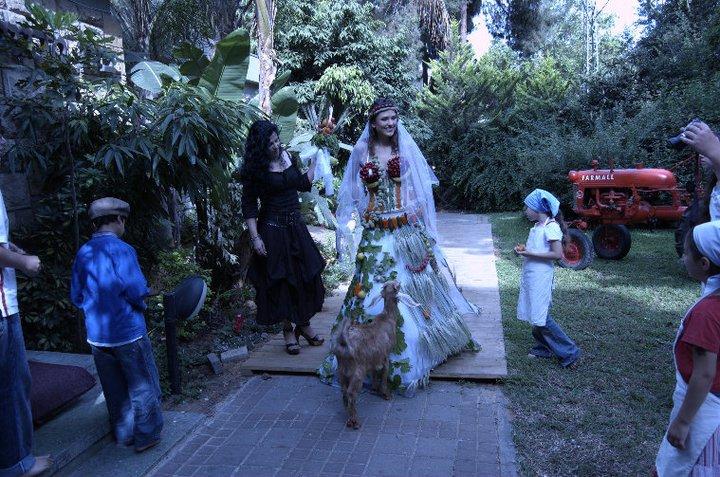 שוש גולדברג שוש גולדברג