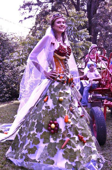 שוש גולדברג שוש גולדברג