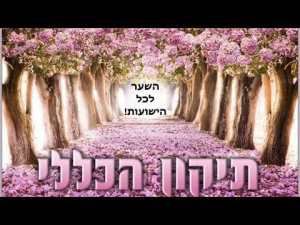 מקום אור הרבנית מיכל אור תח"י