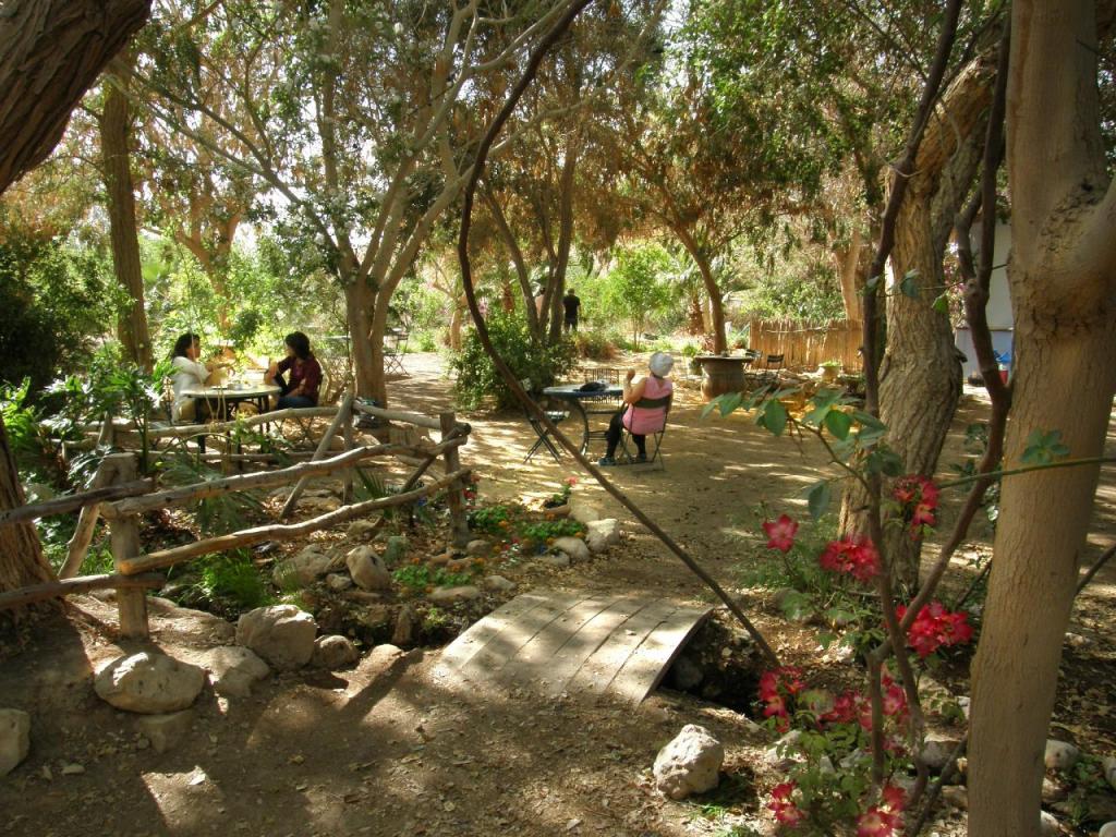 פונדק נאות סמדר פונדק נאות סמדר