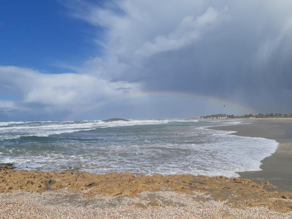 הבקתה של דלילה הבקתה של דלילה