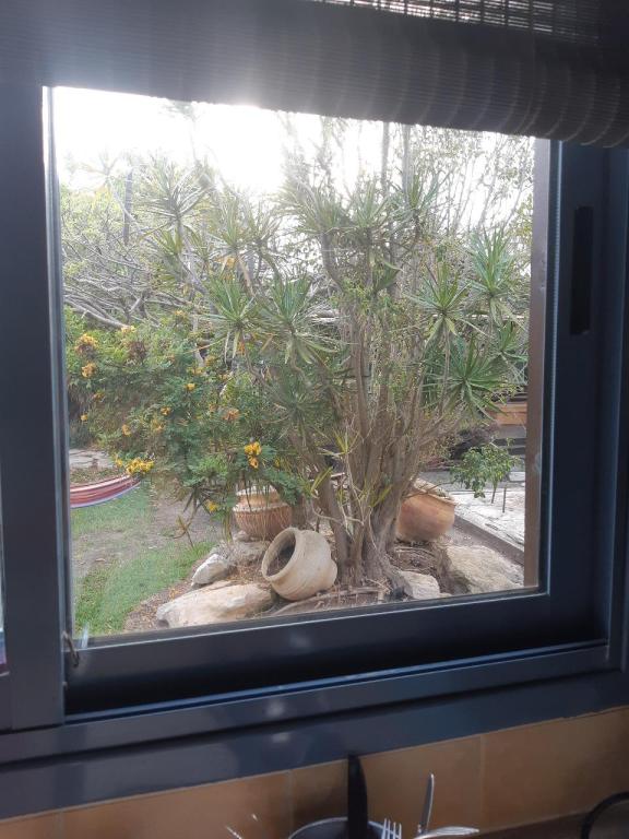 הבקתה של דלילה הבקתה של דלילה