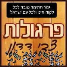 צבי דדון