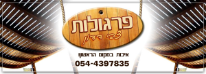 צבי דדון
