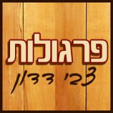 צבי דדון