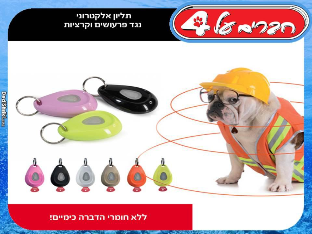 חברים על 4 חברים על 4