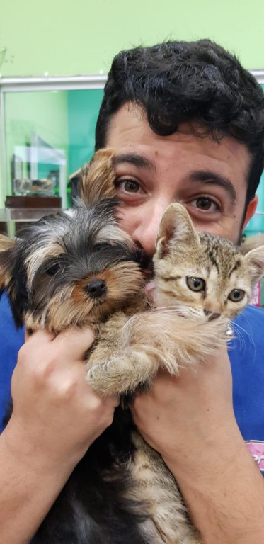 חברים על 4 חברים על 4