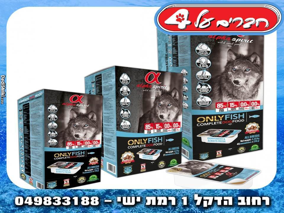 חברים על 4 חברים על 4