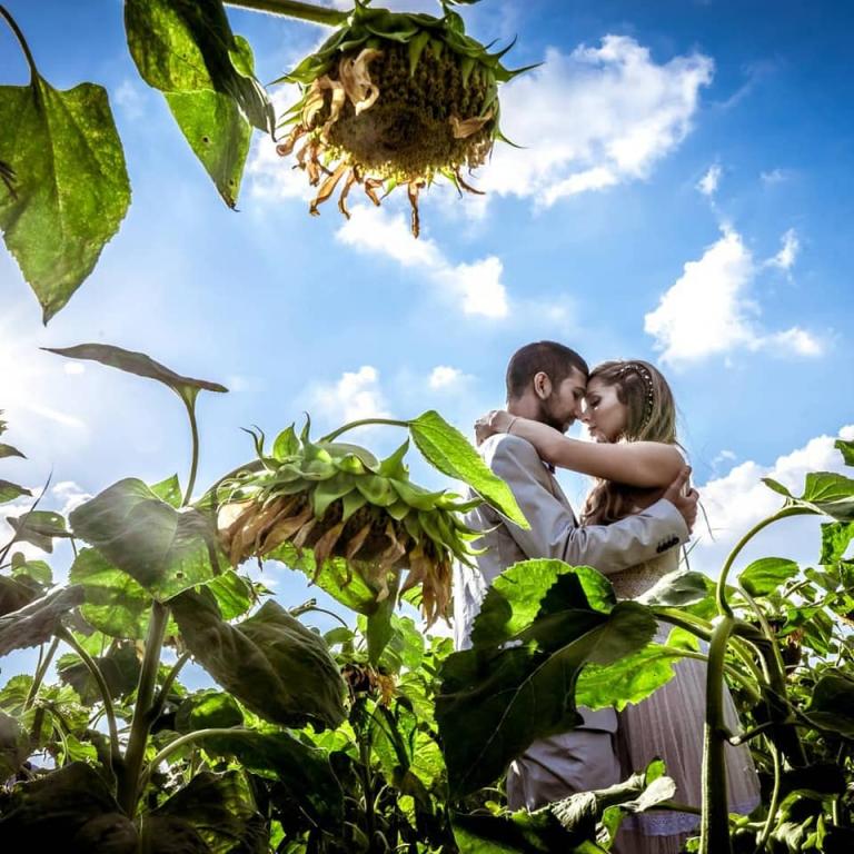 כהן אייל צילום אירועים כהן אייל צילום אירועים