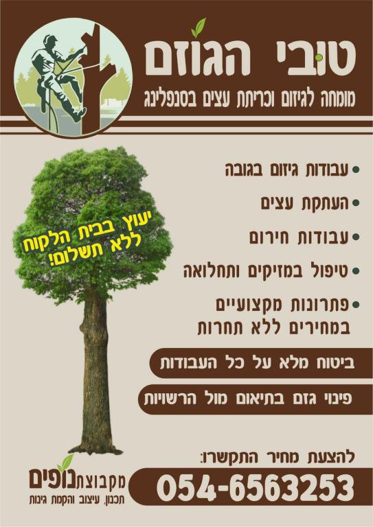 דפוס אבי דפוס אבי