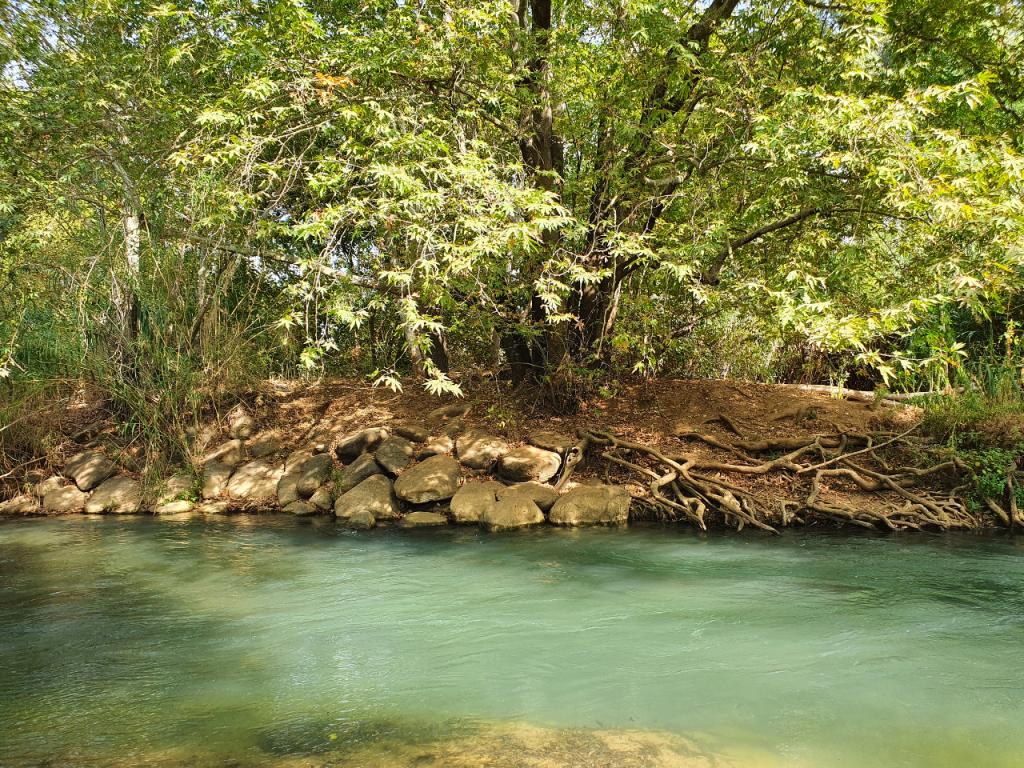 חופשה בירוק חופשה בירוק