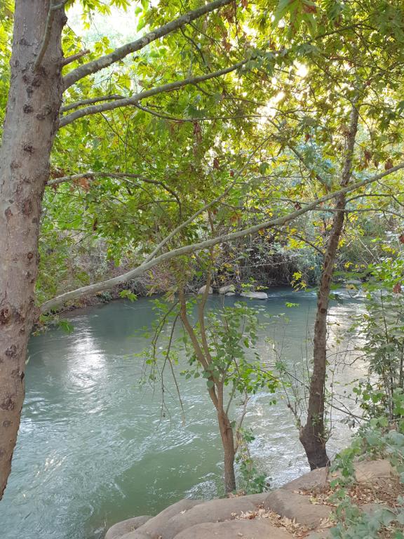 חופשה בירוק חופשה בירוק