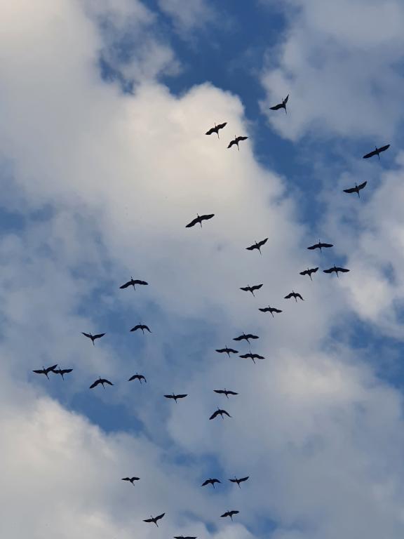 חופשה בירוק חופשה בירוק