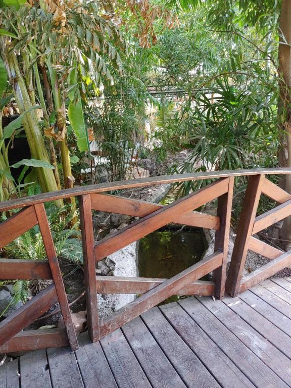 צל תמר צל תמר