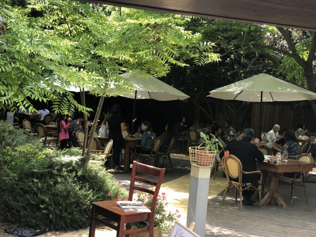 פונדק הג'חנון מול היער פונדק הג'חנון מול היער