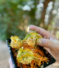 Koi sushi bar