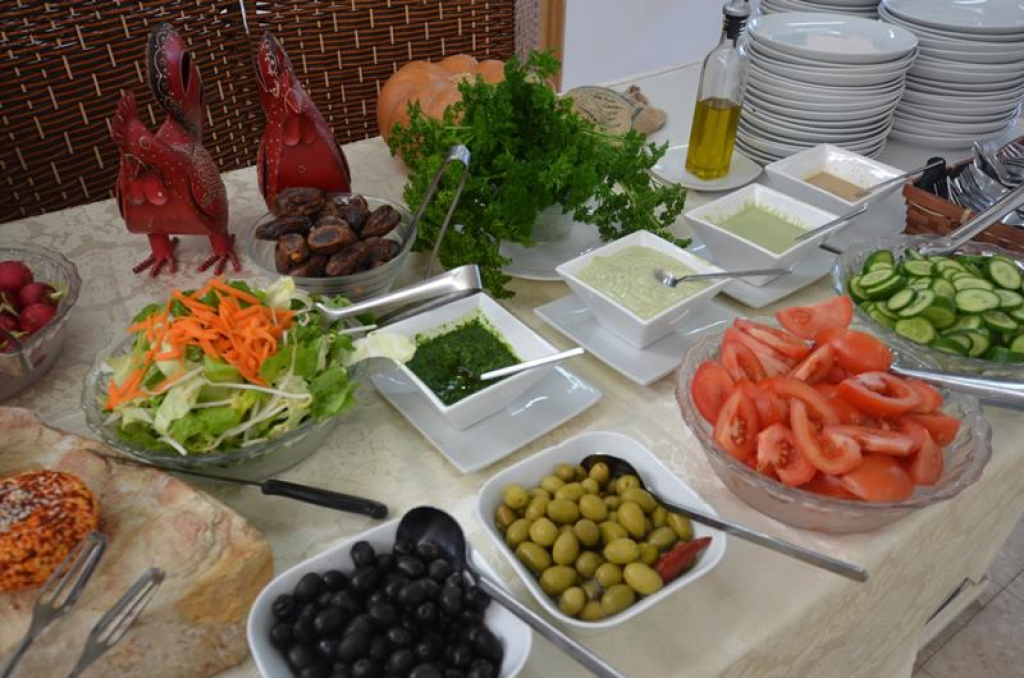 אירוח דורות אירוח דורות