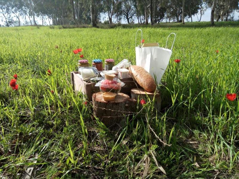 אירוח דורות אירוח דורות