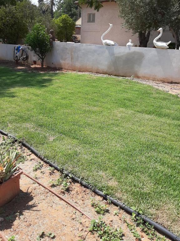 משתלות אייל אחים לוי משתלות אייל אחים לוי