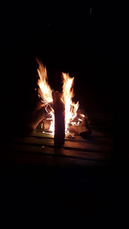 פאנדנגו איסוף ומיחזור פאנדנגו איסוף ומיחזור