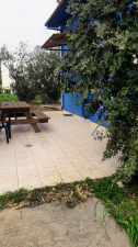 פינת הסחלב